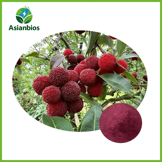 Red Bayberry Powder